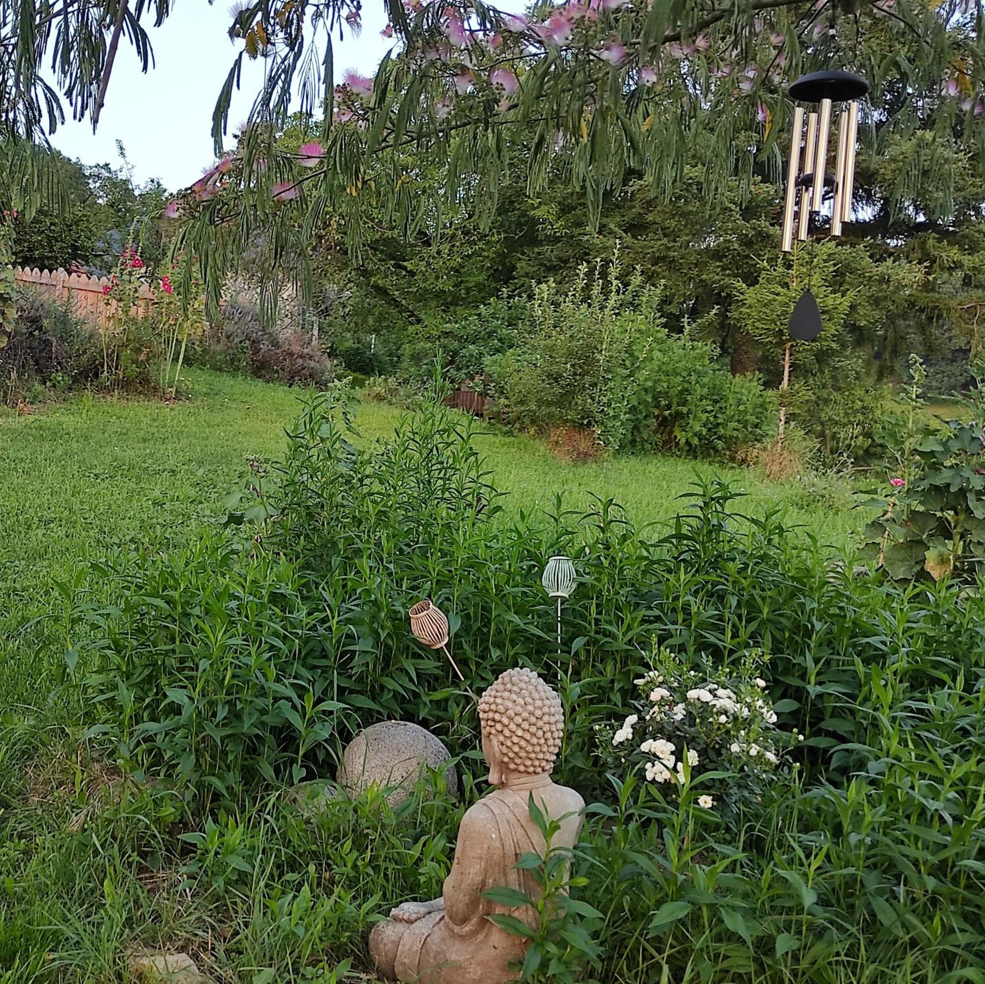 布特德科特住宿加早餐旅馆 Lacam-dʼOurcet 外观 照片